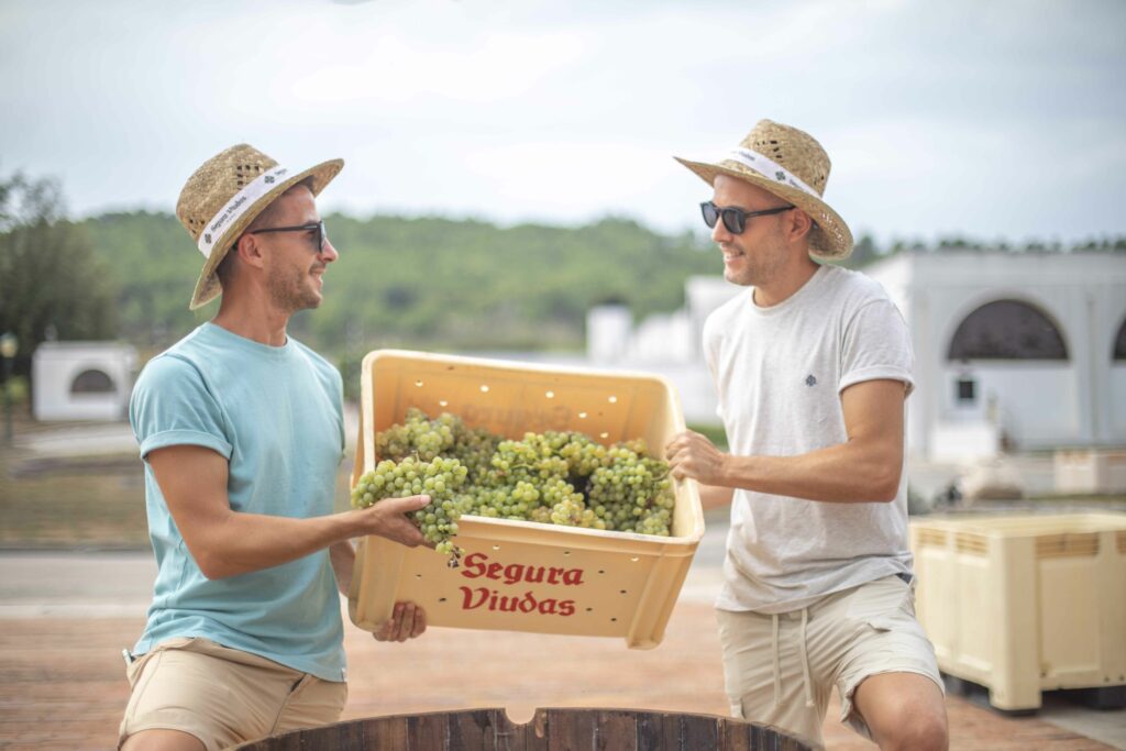 Fotografia publicitària