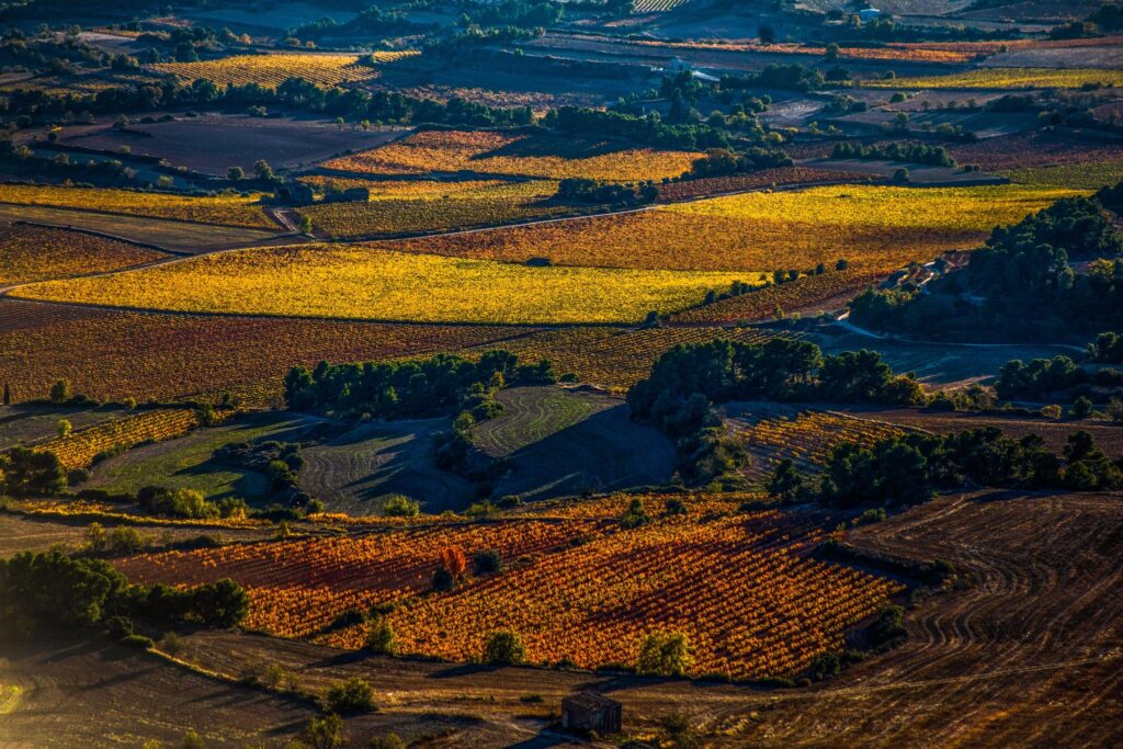 Fotografia de paisatge