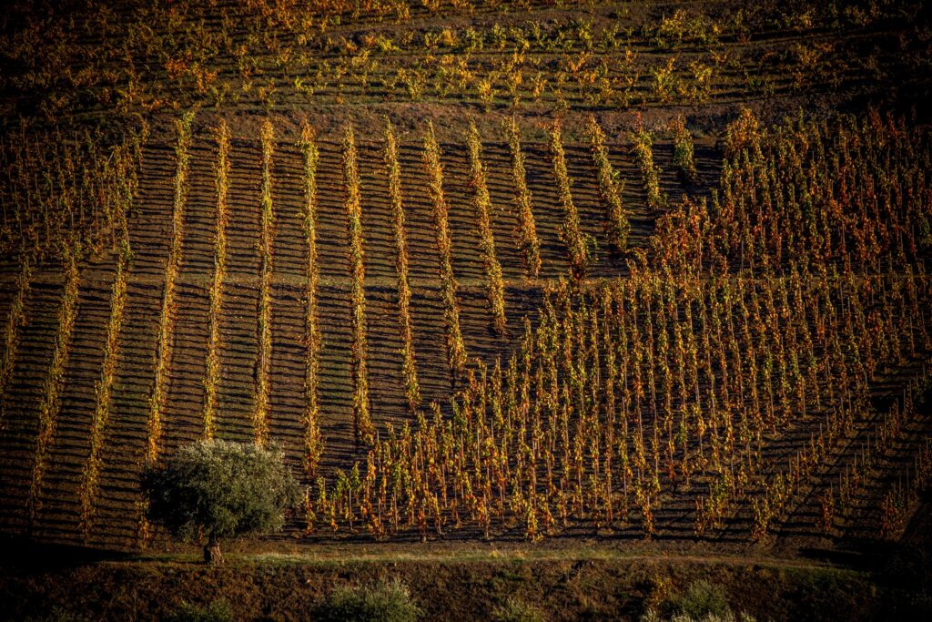 Fotografia de paisatge