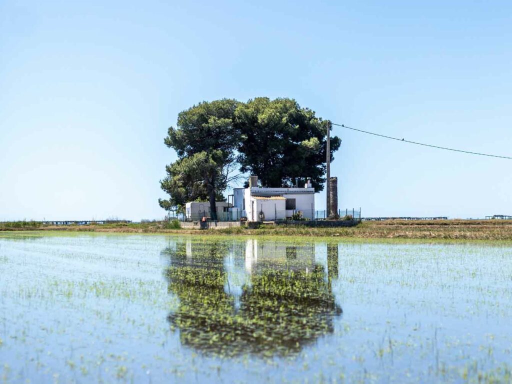 Fotografia de paisatge